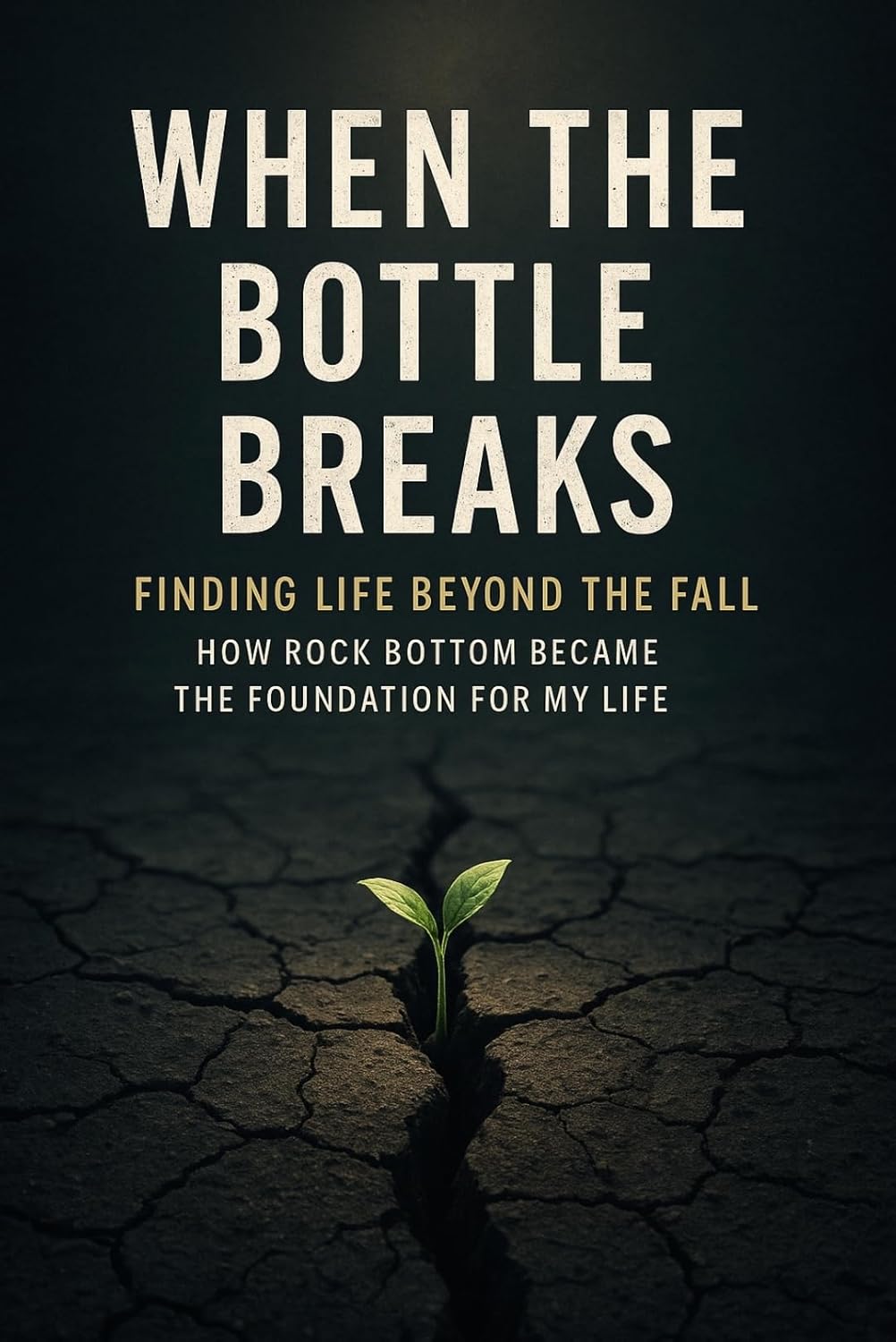 When the Bottle Breaks: Finding Life Beyond the Fall: How Rock Bottom Became the Foundation for My Life      Kindle Edition