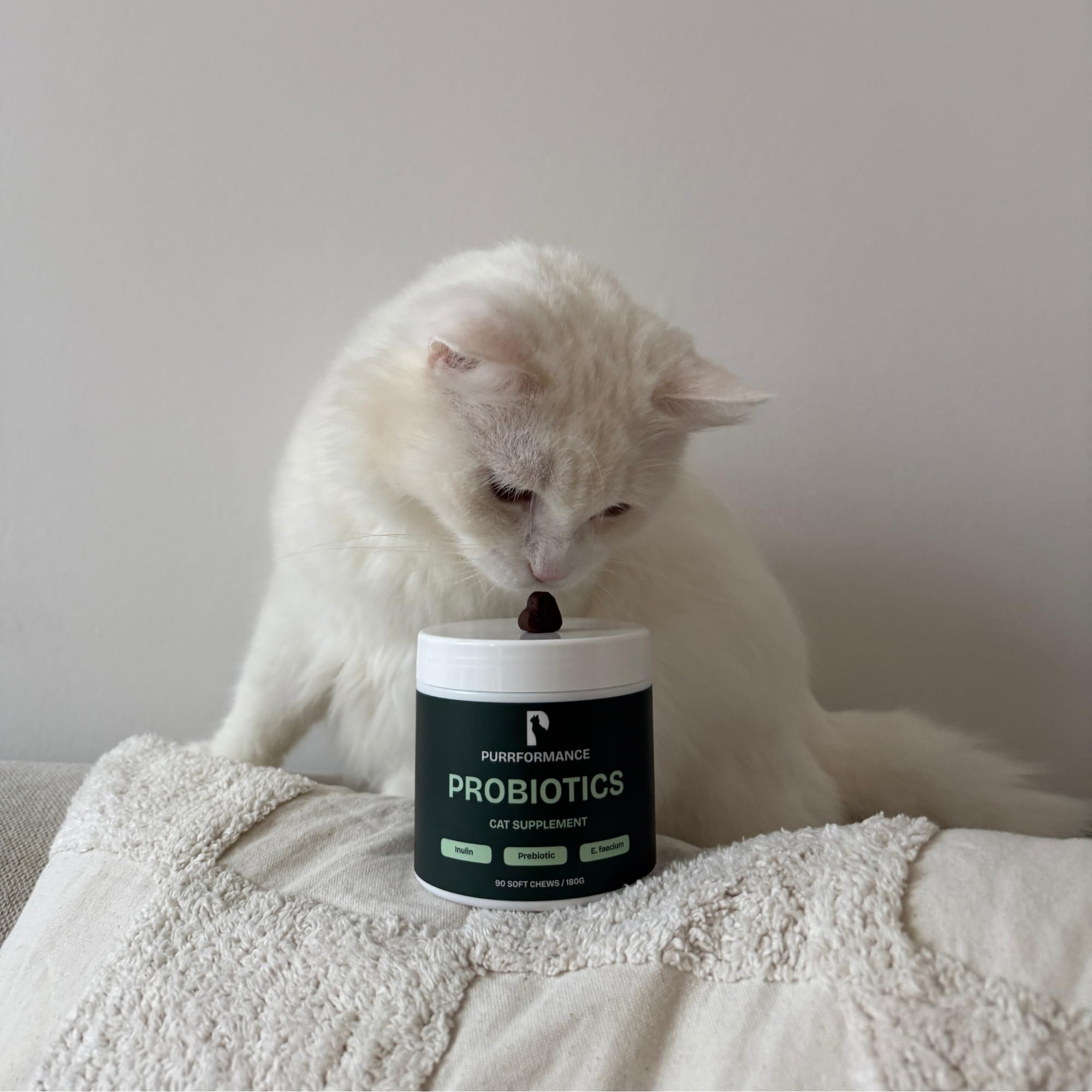 Probiotics - Verdauungsunterstützung für Katzen