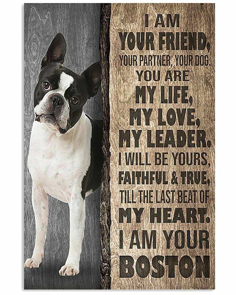 TNND I Am Your Boston Terrier Funny Dog Word For Bedroom Gift For Dog Lover Metal Sign Art Tin Metal Poster Gift 8x12 inch