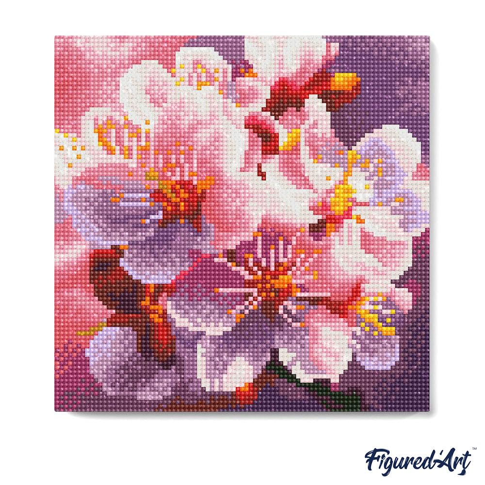 Mini Diamond Painting 25x25cm Lama Fantasy con Fiori - Figured'Art