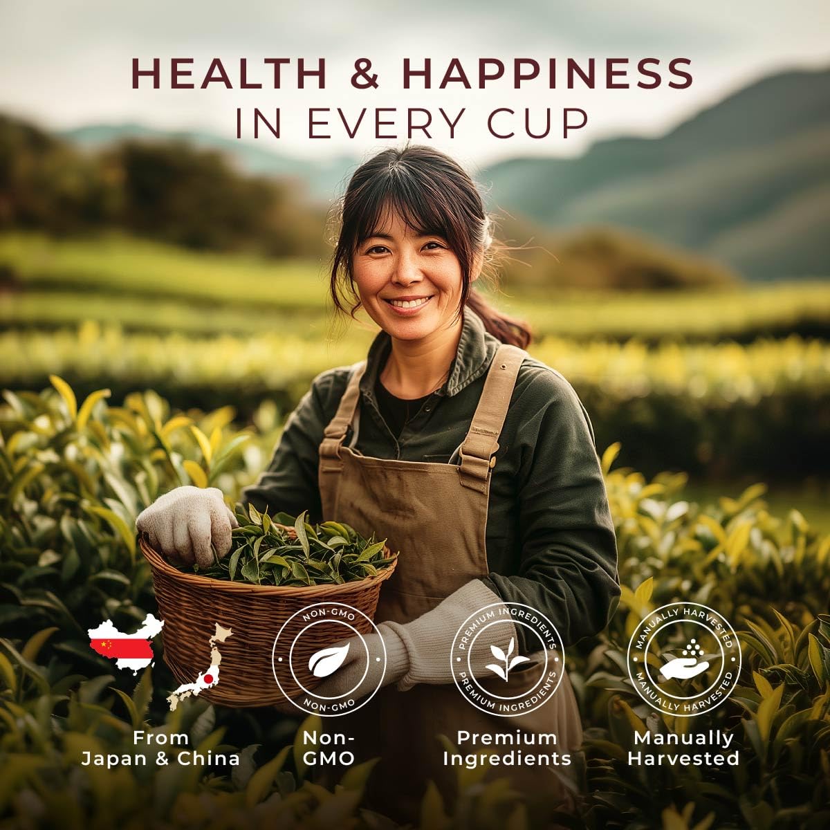 Gya Tea Co Matcha Latte Green Tea Gift Set 16 ct - High Caffeine Energy Tea Pod for — view 5