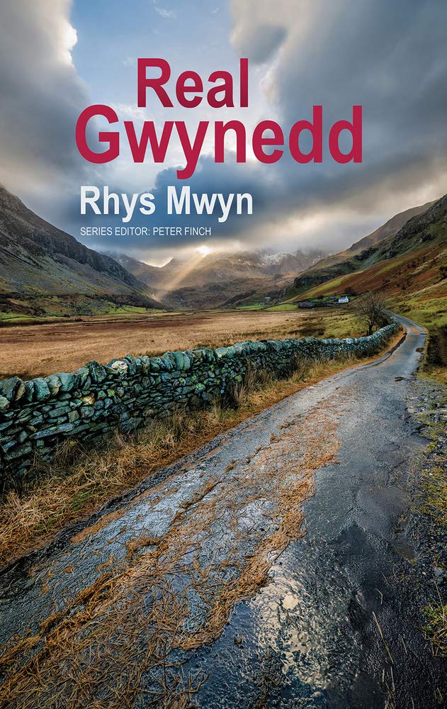 Real Gwynedd (Real Series)
