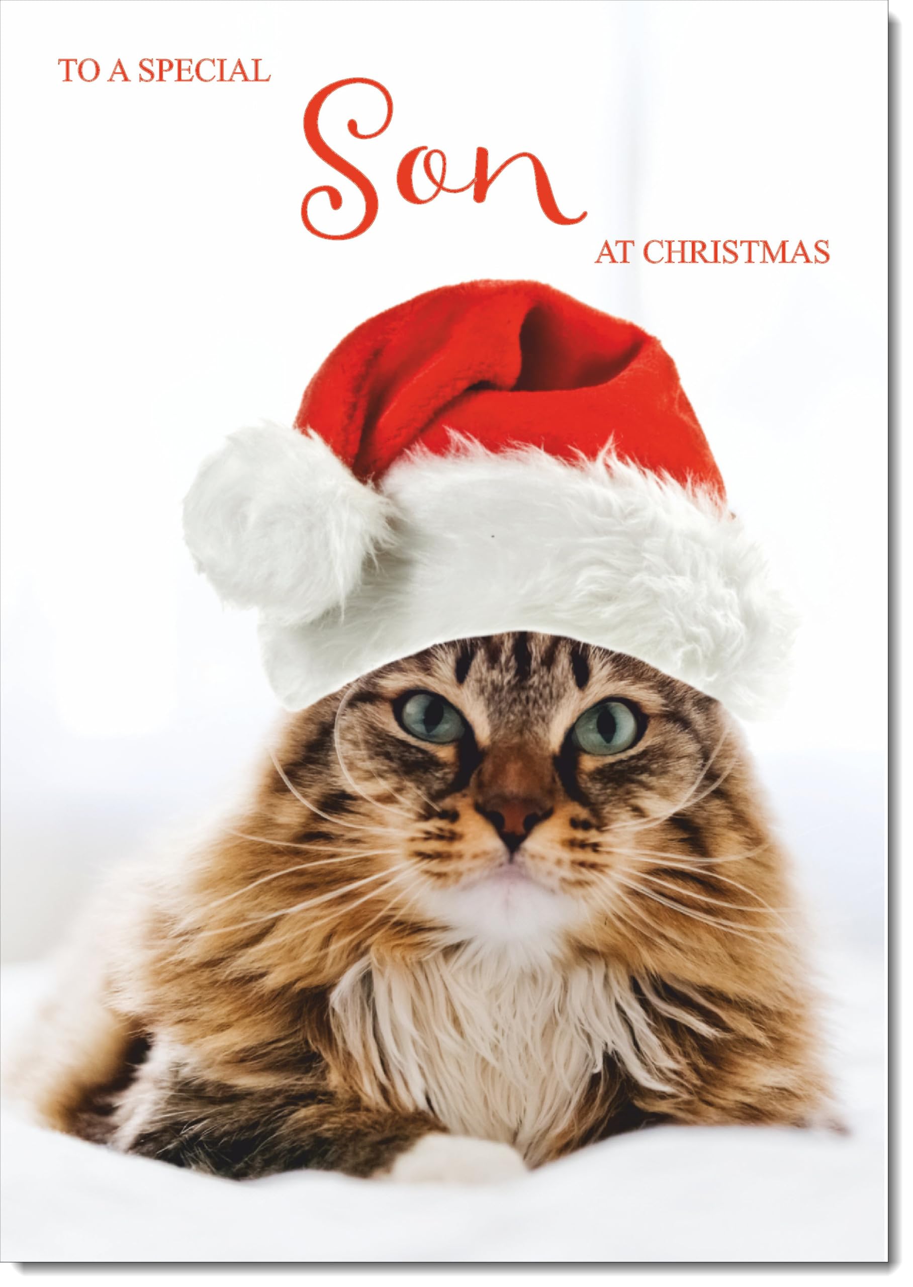 doodlecards Son Christmas Card Cat with Santa Hat Large A4 Size Christmas Card for Son with Plain Envelope โ image 1