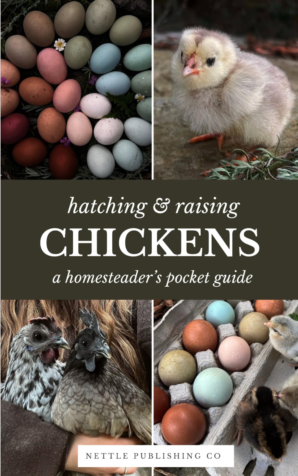 Hatching & Raising Chickens | A Homesteader’s Pocket Guide: A Detailed Guide to Incubating, Hatching, and Raising Healthy Heritage Chickens for ... (Hatching & Raising For Homesteader's Series)