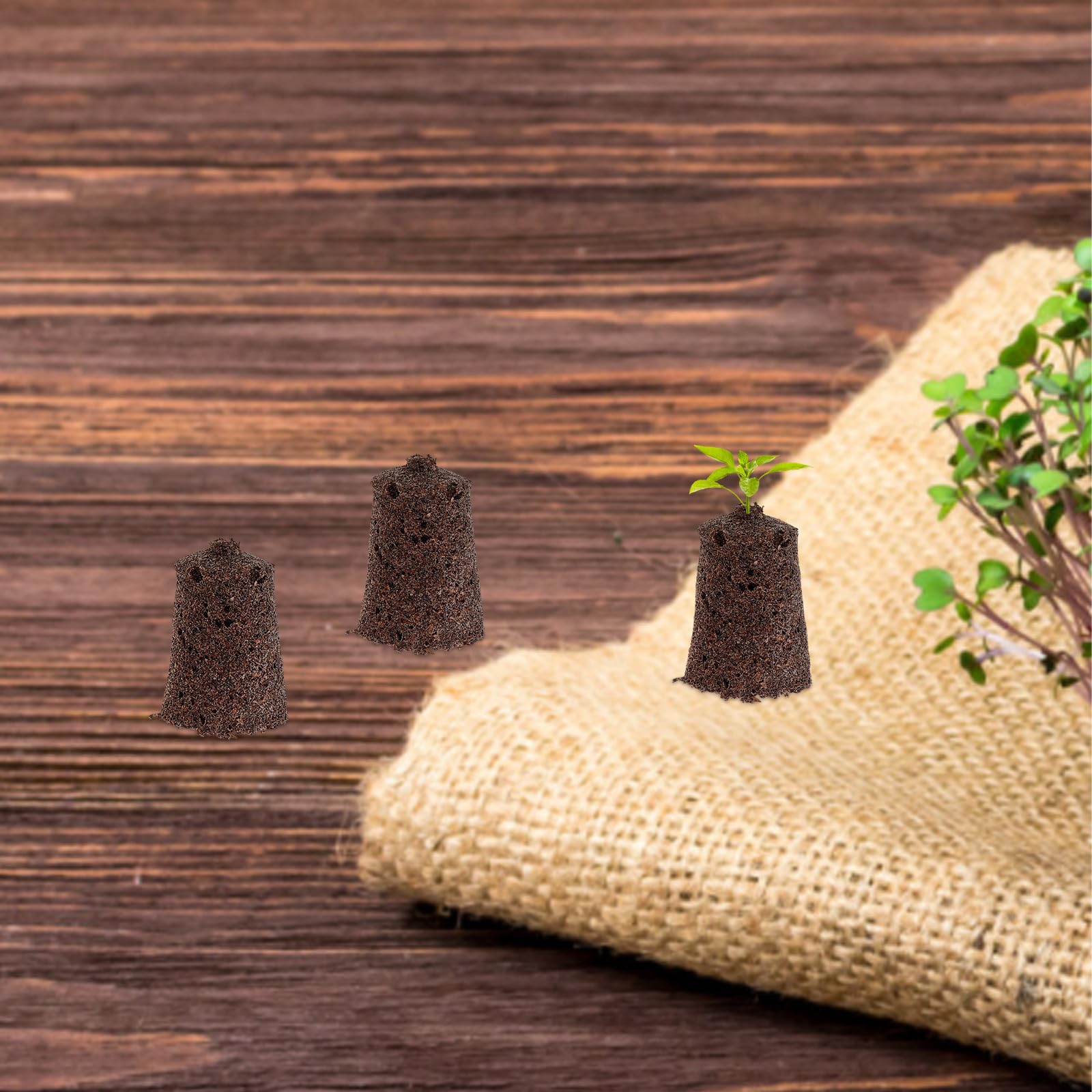 30 Blocchi di Torba di Cocco per Coltivazione Fuori Suolo Kit di Germinazione con Eccellente Ritenzione Idrica e Ossigeno Forniture per Giardinaggio Versatile Adatte a Semina e