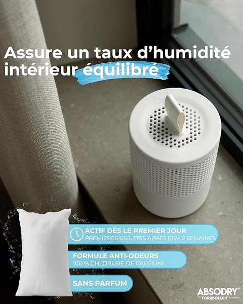 AbsoDry - Recharge déshumidificateur d'air Anti moisissure 2×600 g - Compatibilité Universelle - Empêche Les odeurs & retient l'humidité - Recharge absorbeur d'humidité - 4