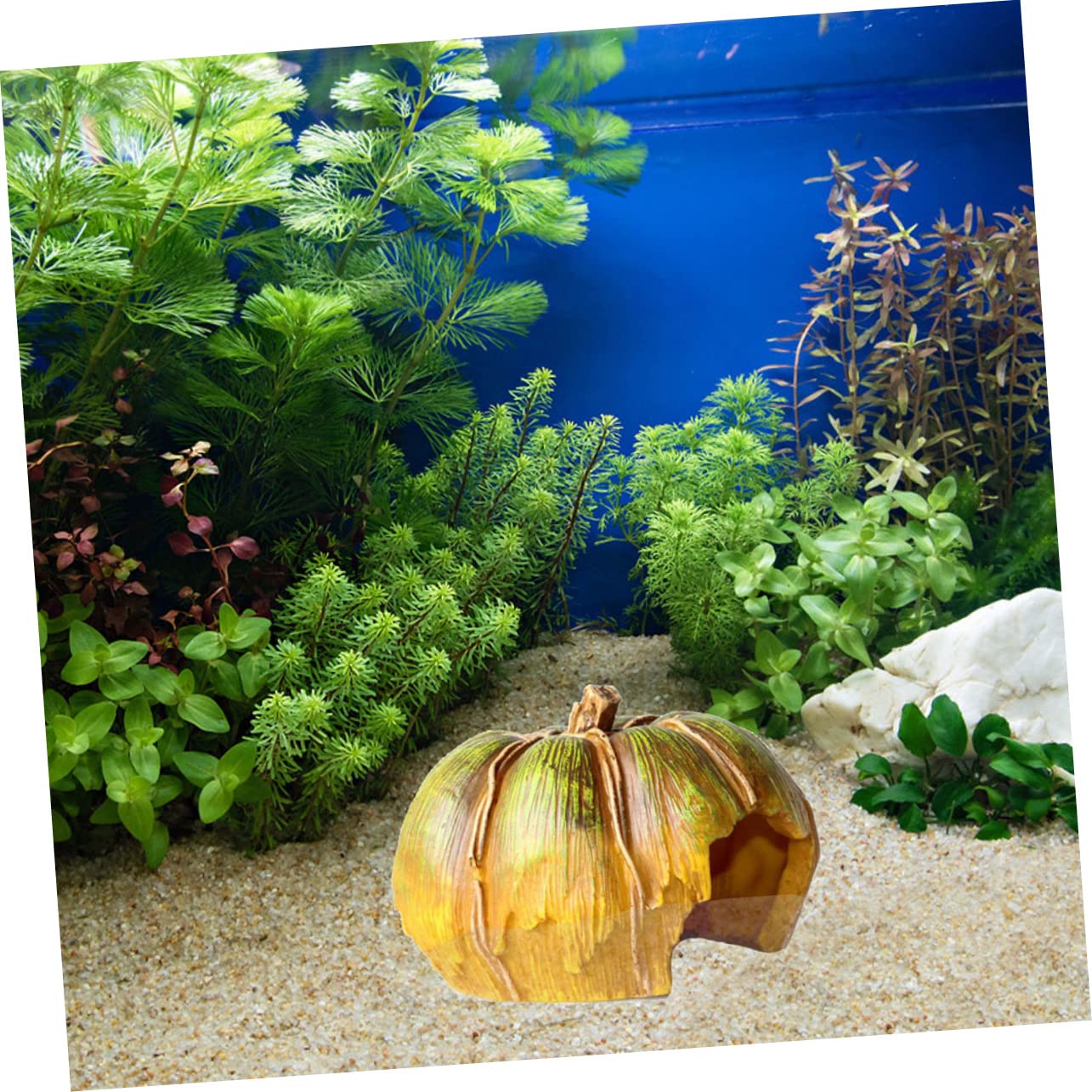 Alipis Grotta Decorativa Per Acquario Zucca Accessorio Per Acquario in Resina Decorazione e Per Pesci e Gamberetti Paesaggistico Per Acquari Piccoli e Compatti