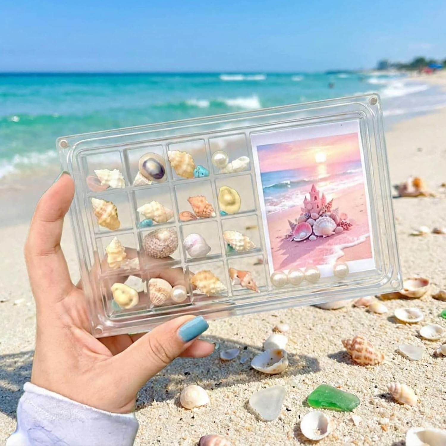 17-Grid Seashell Collection Box with Large Display Slot, Magnetic Acrylic Shadow Box for Rocks, Crystals and Photo Memories