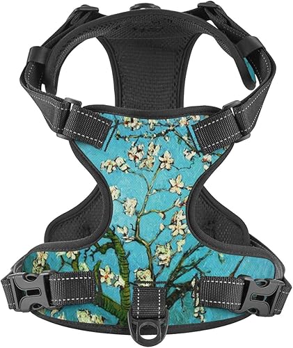 Arnés para perros medianos con correa sin tirones, 2 clips para correa, ajustable, suave, con flores de Van Gogh, juego de chaleco para perro,