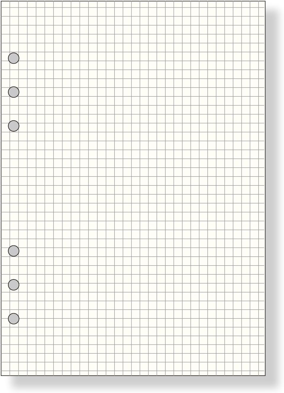 Reimeifujii Da Vinci refill A5 5.0mm grid A5 size DAR282