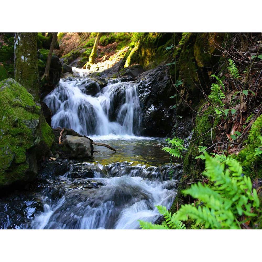 Amazon.co.jp: Photography Landscape Waterfall Stream Cascade