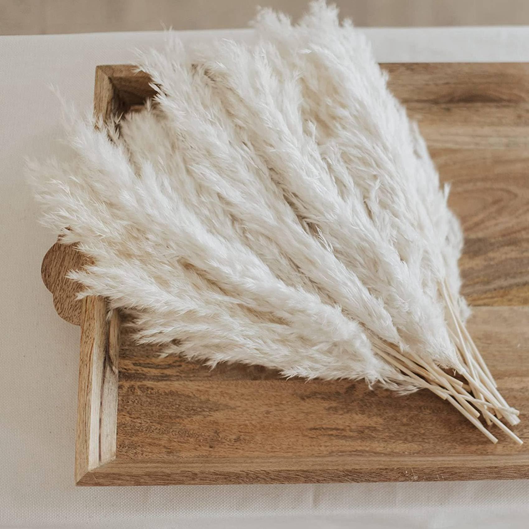Herbe de Pampa Blanche - 50 Tiges d'herbe de Pampa Moelleuse pour Mariage, Maison et Décoration D'événement - Herbe de Pampa Séchée