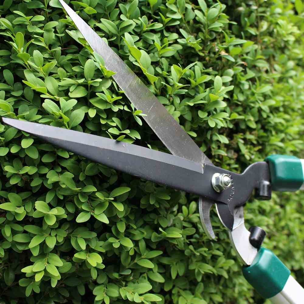 Siena Garden 358332 - Tijera de Podar, Podadora de Mano, Herramienta Manual de Jardinería
