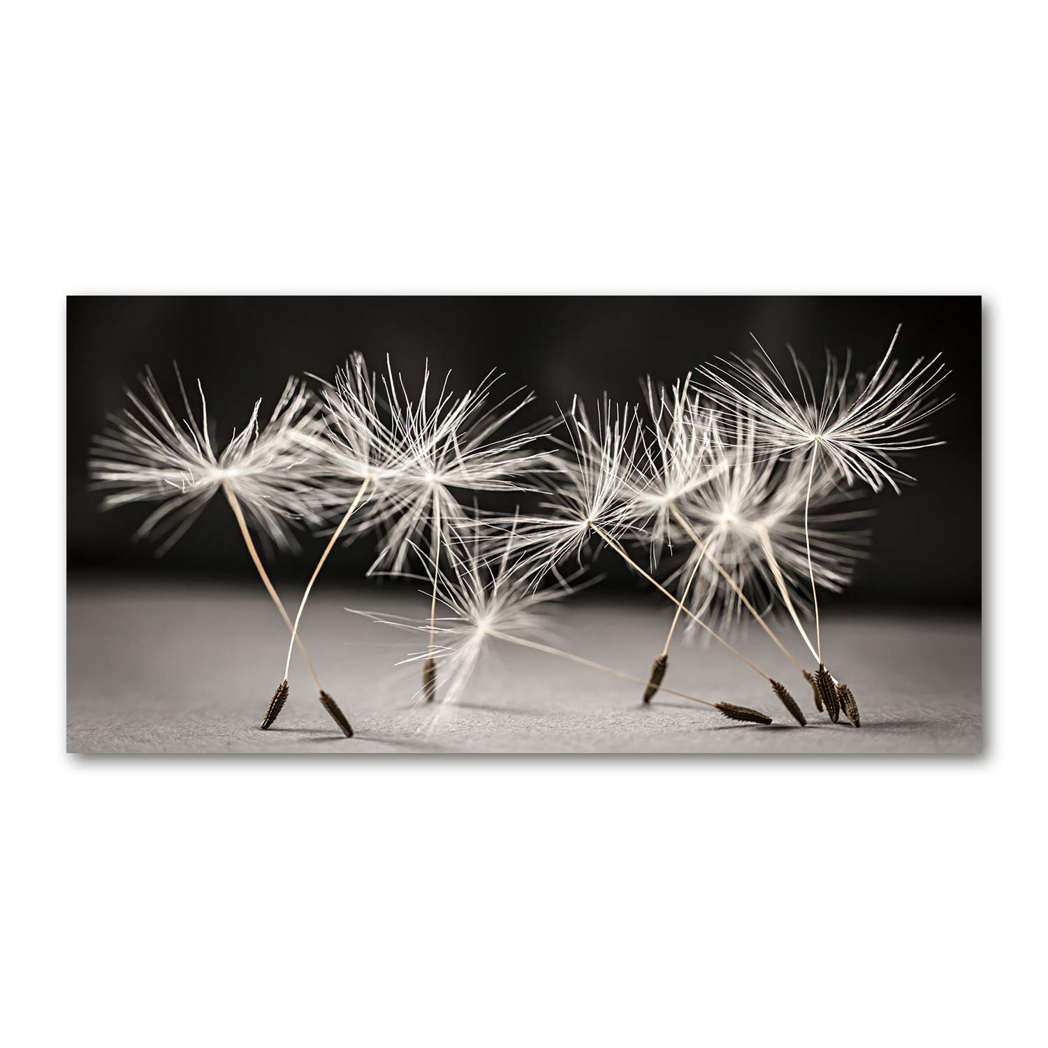 Impression sur verre salon cuisine solution murale lavable grand tableau pissenlit 120x60 cm