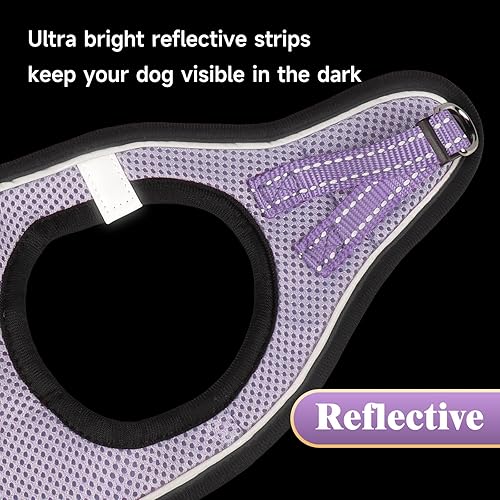 Miniatura 136 de YIMEIS - Juego de arnés de malla suave y correa, para perros pequeños y gatos, chaleco reflectante ajustable para cachorros, (talla XS, negro)