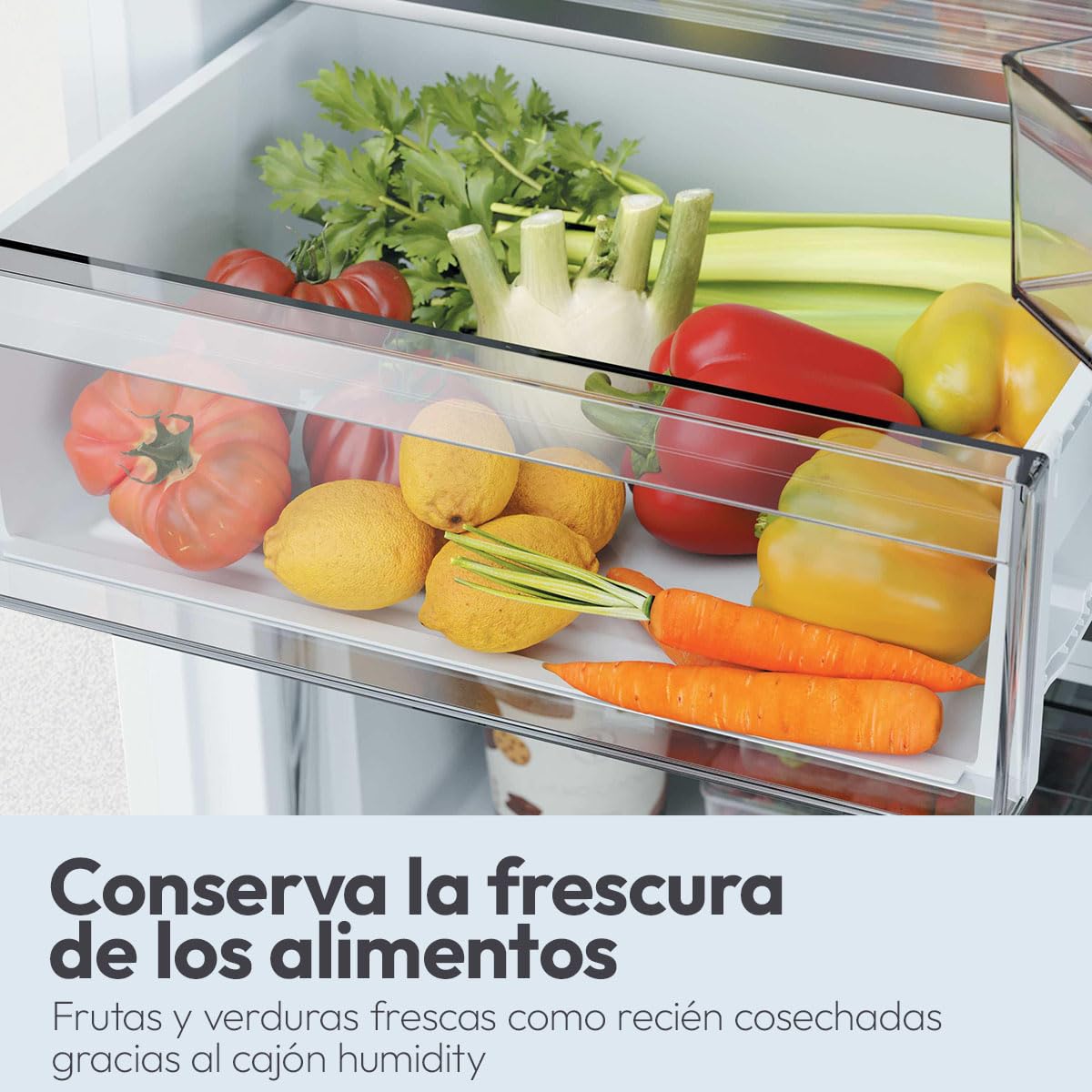 CANDY Fresco Style CNCQ2T6S18DX, Frigorífico Combi, Ancho 59,5cm, Altura 185cm, 315L, Total No Frost, Motor Inverter, Cajón Humidity, Control Digital Interno, Luz LED, Puertas Reversibles, Inox
