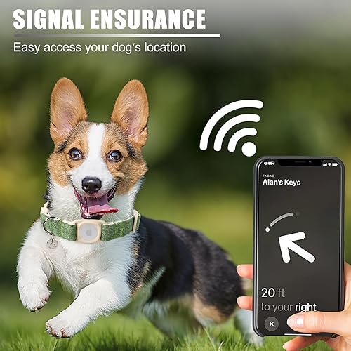 Miniatura 3 de DOGWONG Airtag - Collar de algodón de cáñamo para perro, collar de perro resistente con soporte para Airtag, collar de perro verde duradero de tela