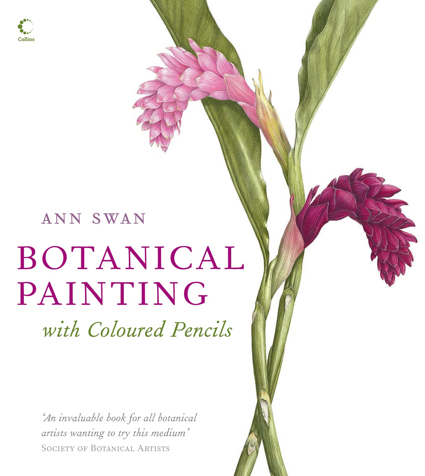 Botanical Painting with Coloured Pencils: The complete art guide to creating stunning illustrations