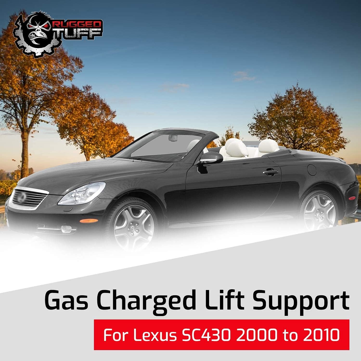Rugged TUFF RT081010 Lift Supports Trunk Shocks Struts Gas Springs Arms Compatible with 2000-2010 Lexus SC430 (Without Spoiler) Pack of 2