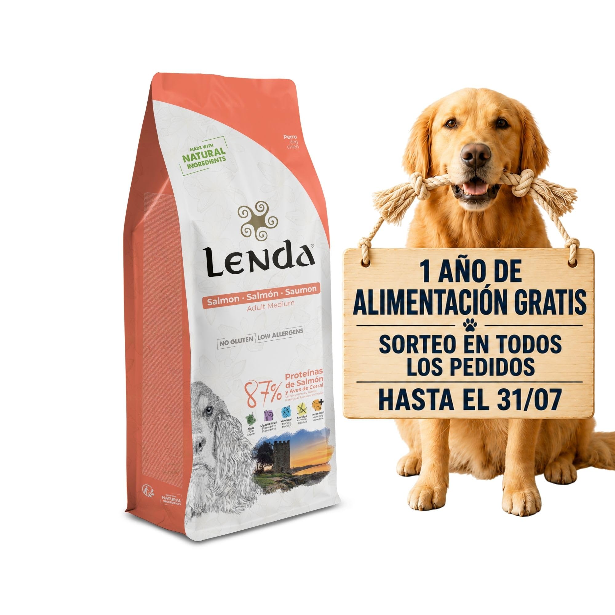 Lenda Salmón - Pienso para Perros Rico En Salmón |Comida para Perros Jóvenes y Adultos de Todas Las Razas | Pienso para Perro Natural (12 KG)