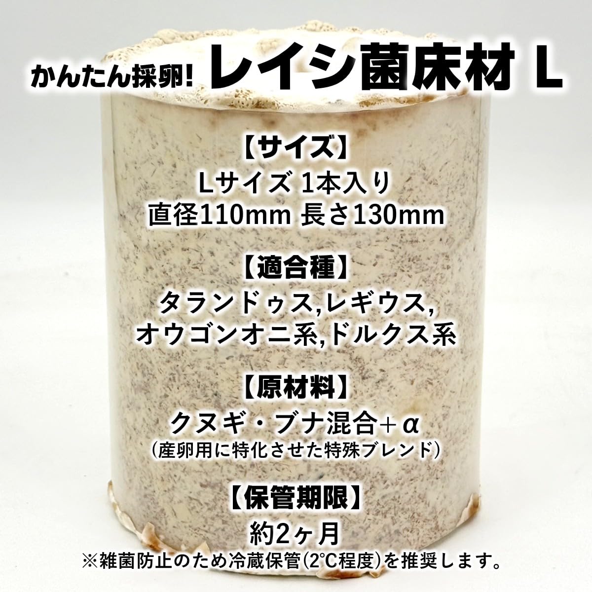Amazon | タランドゥスオオツヤ 1メス54個採卵！【DDA】カワラ菌床材L