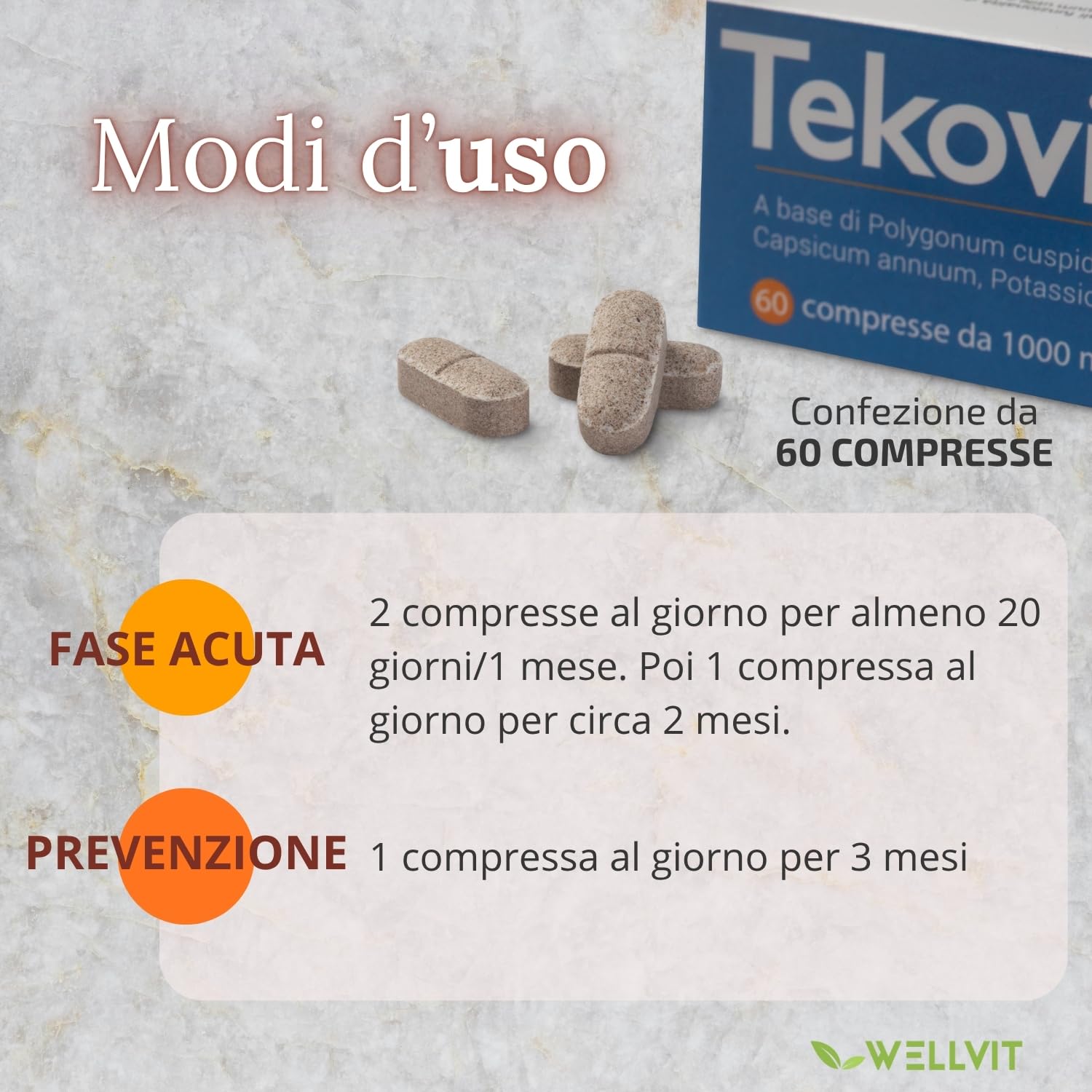 TEKOVIT Spaccapietra - Integratore Naturale con Fillanto Spaccapietra, Resveratrolo, Potassio e Camomilla, Benessere Renale e Vie Urinarie, Formula Completa - Made in Italy (60 Cps) – Wellvit
