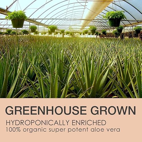 Miniatura 7 de LEROSETT - Tónico transparente para la piel, tónico a base de aloe vera con ácido glicólico y 10 botánicos calmantes que ayuda a reducir la