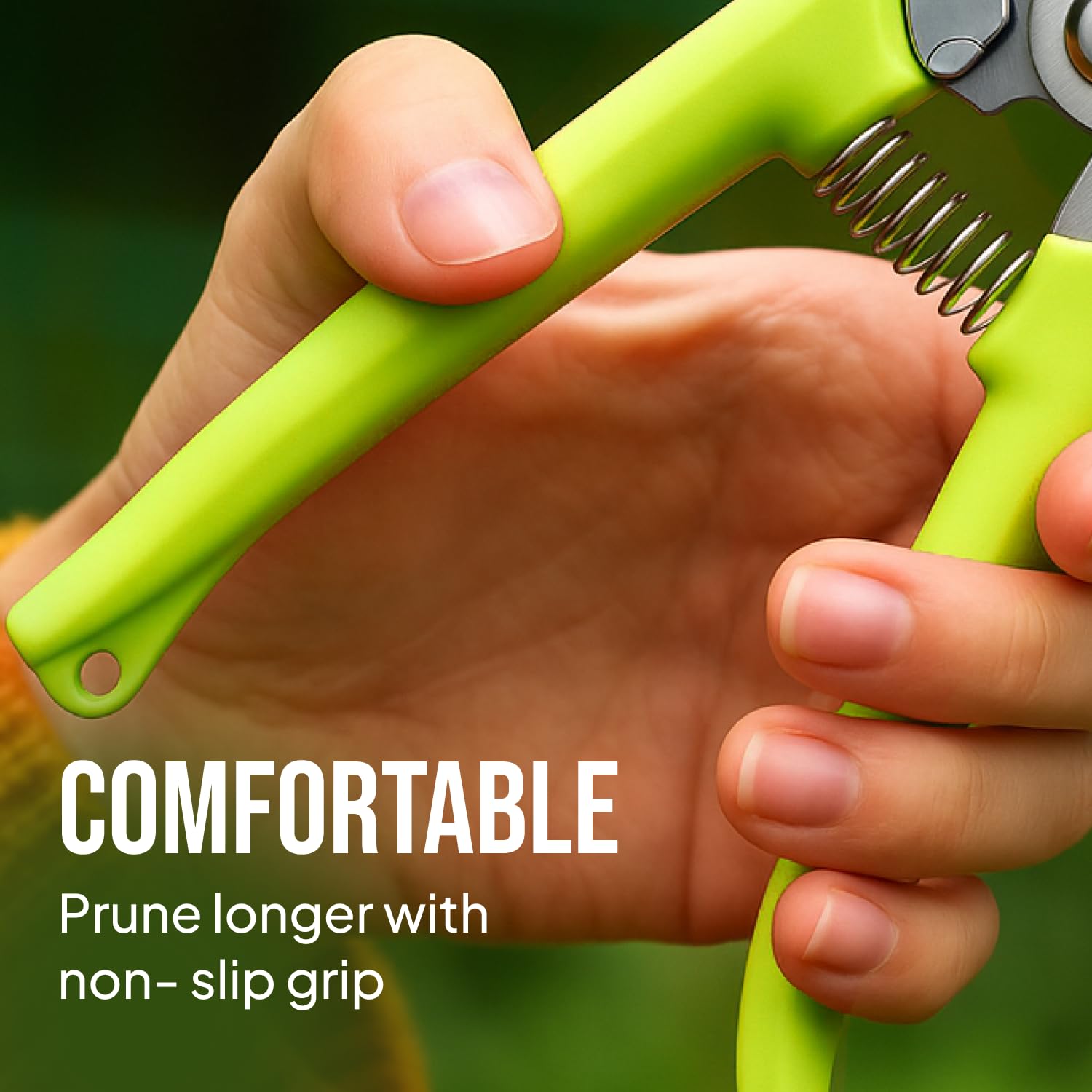 Stainless Steel Gardening Scissors - 2 Pack -6