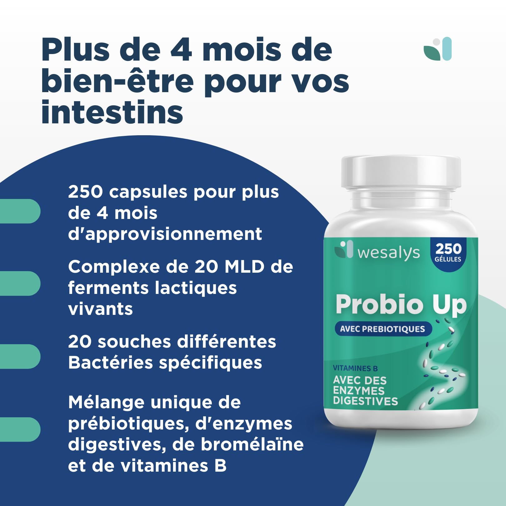 Probiotique flore intestinale - 250 gélules - 20 souches bactériennes, Probiotiques et prebiotique, lactobacillus gasseri, Bifidobactéries, Enzymes digestives, Inuline, FOS, 20 milliards UFC