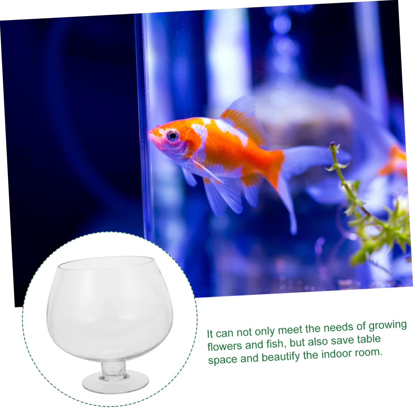 Acquario Trasparente Da Tavolo Per Pesci Rossi Acquario in Plastica Multifunzione Accessorio Decorativo Per Piante Per Ufficio E Casa
