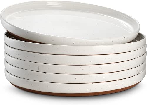 DOWAN 10.5" Large Dinner Plates Set of 6, High Edge