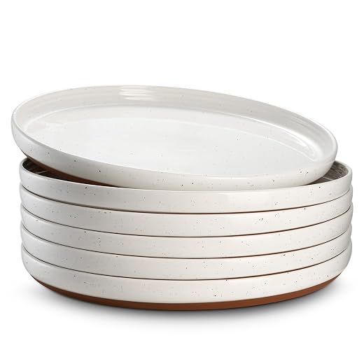 DOWAN 10.5” White Dinner Plates Set of 6 - Ceramic Serving Dish with Specks, Large Dining Plates for Steak, Assorted, Pasta, Pancakes, Microwave Dishwasher Safe