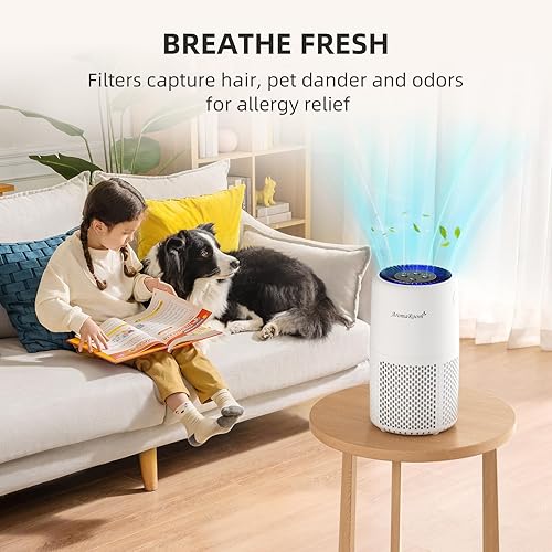 Miniatura 8 de AromaRoom H13 - Purificador de aire HEPA para el dormitorio del hogar, filtro de aire HEPA para humo, polen, caspa de cabello, filtro 3 en 1 con