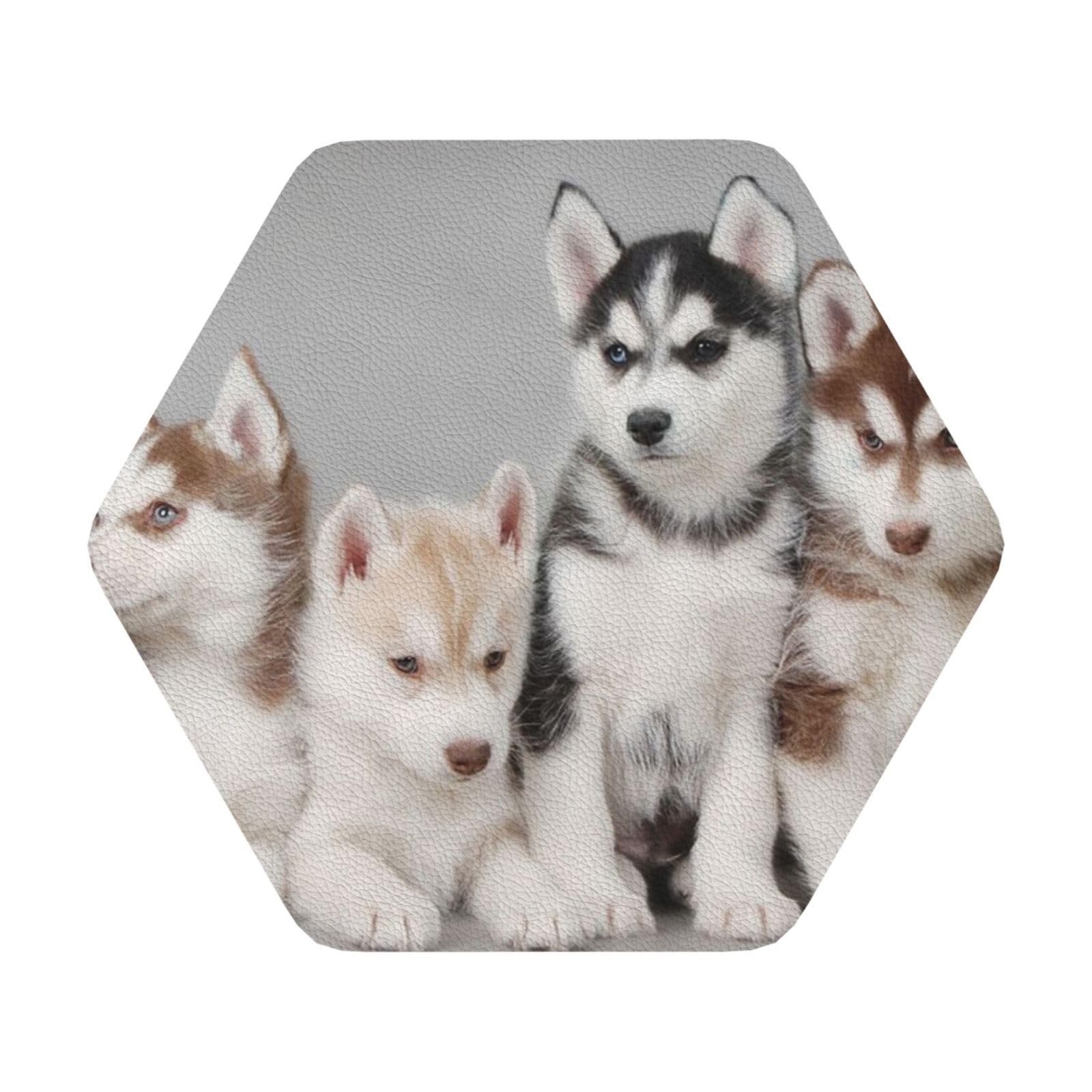 Lovely dogs PU Leather Coasters Set of 6 Hexagon Drink Coasters
