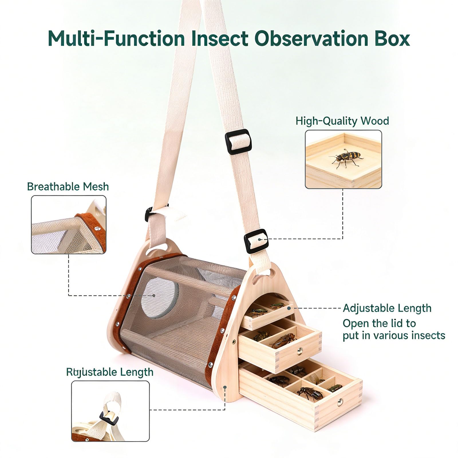 per Lo Studio della Fauna Selvatica per Principianti con Camera ventilata e Strumenti Rimovibili per l ' ingrandimento delle Mosche per l ' educazione scientifica per Bambini