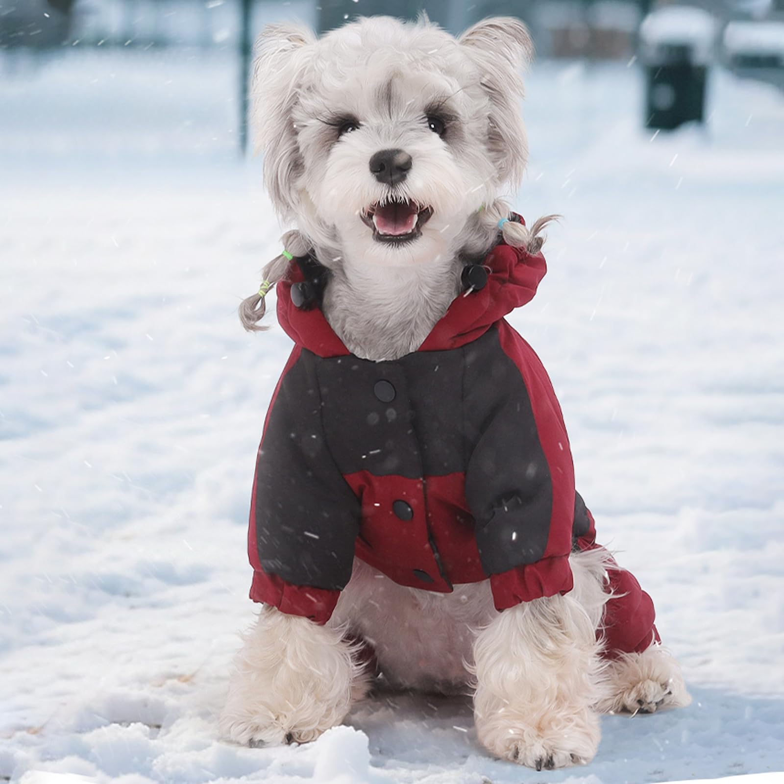 Cappotto Caldo per Cani con Cappuccio, Giacca Invernale Impermeabile e Antivento per Cani, Tutina da Neve, Vestiti Regolabili per Animali Domestici per Tempo Freddo (Rosso, M)
