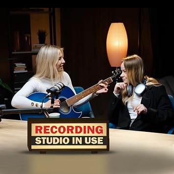 LED Recording Studio Sign Soundproof Room Light Box Recording Studio In Use Light for Streamers, Podcasters, Musicians Record Sign for Music Bar