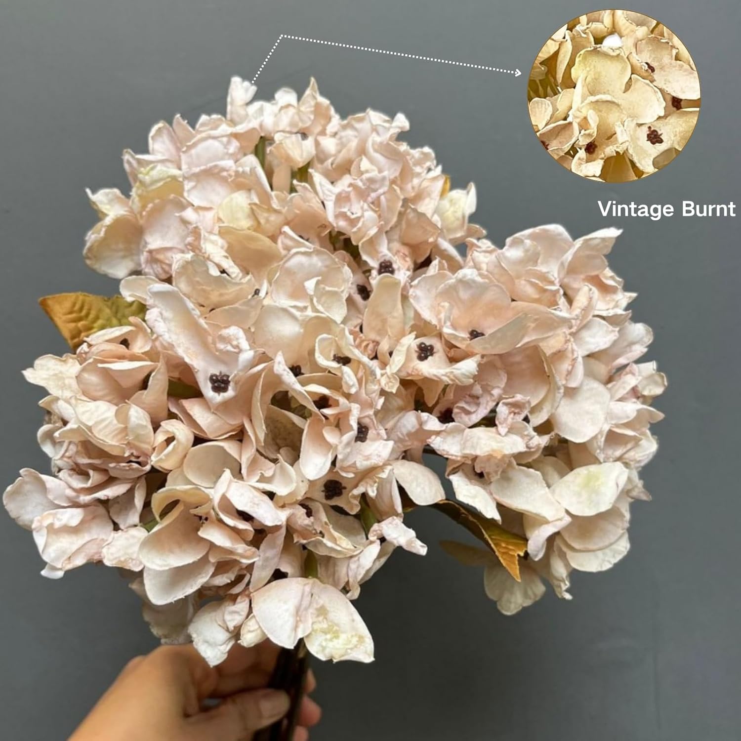 ASTRYAS Fake Beige Dried Artificial Hydrangea Flowers, Fall Faux Silk Hydrangea Dried Florals Bouquet for Home Table Centerpieces Wedding Party Decoration(6PCS,Beige)