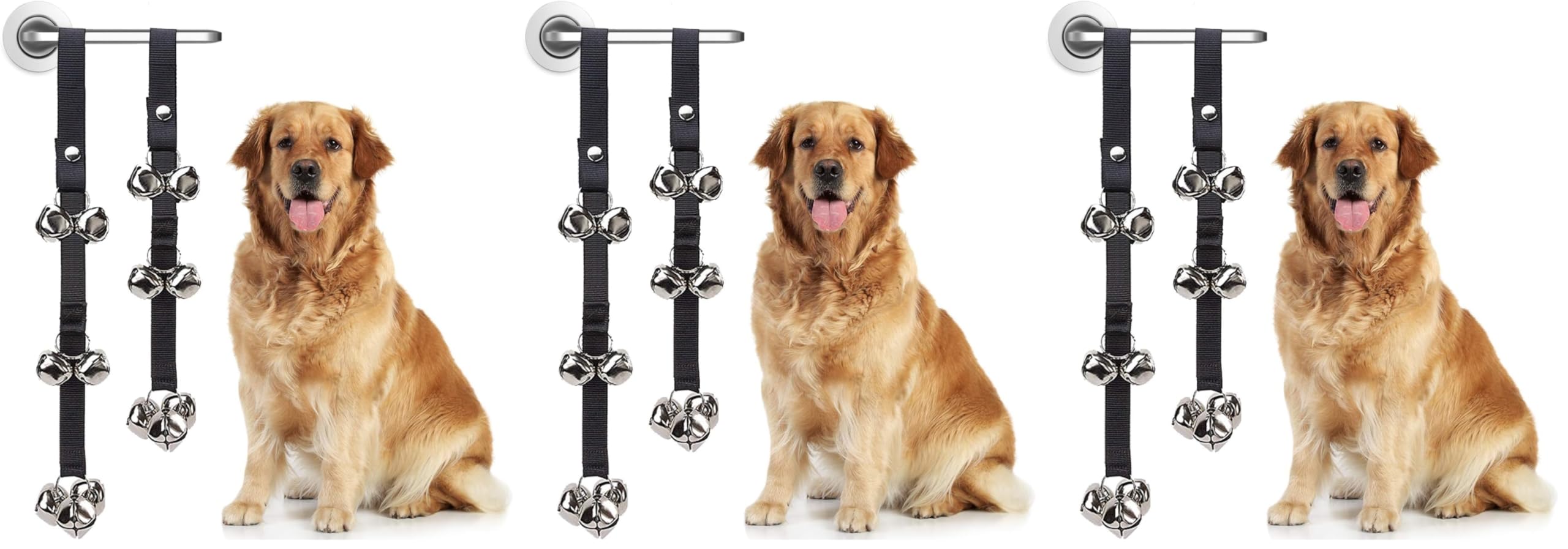 Friends Forever Housetraining Dog Doorbell
