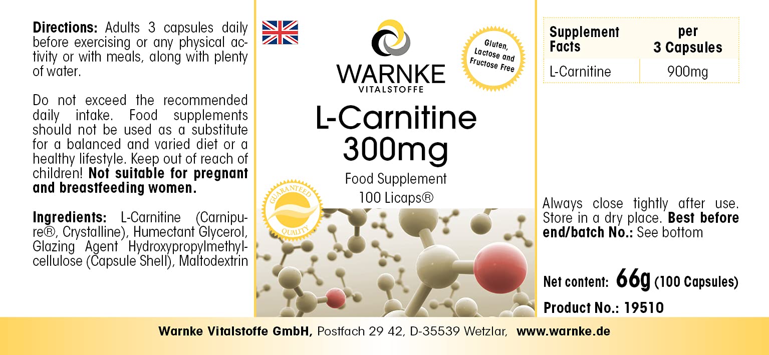 daily requirement of l carnitine Warnke Health Products L-carnitine 300mg, Carnipure liquid, 100 LiCaps®,  vegan, without magnesium stearate : Amazon.de: Health & Personal Care