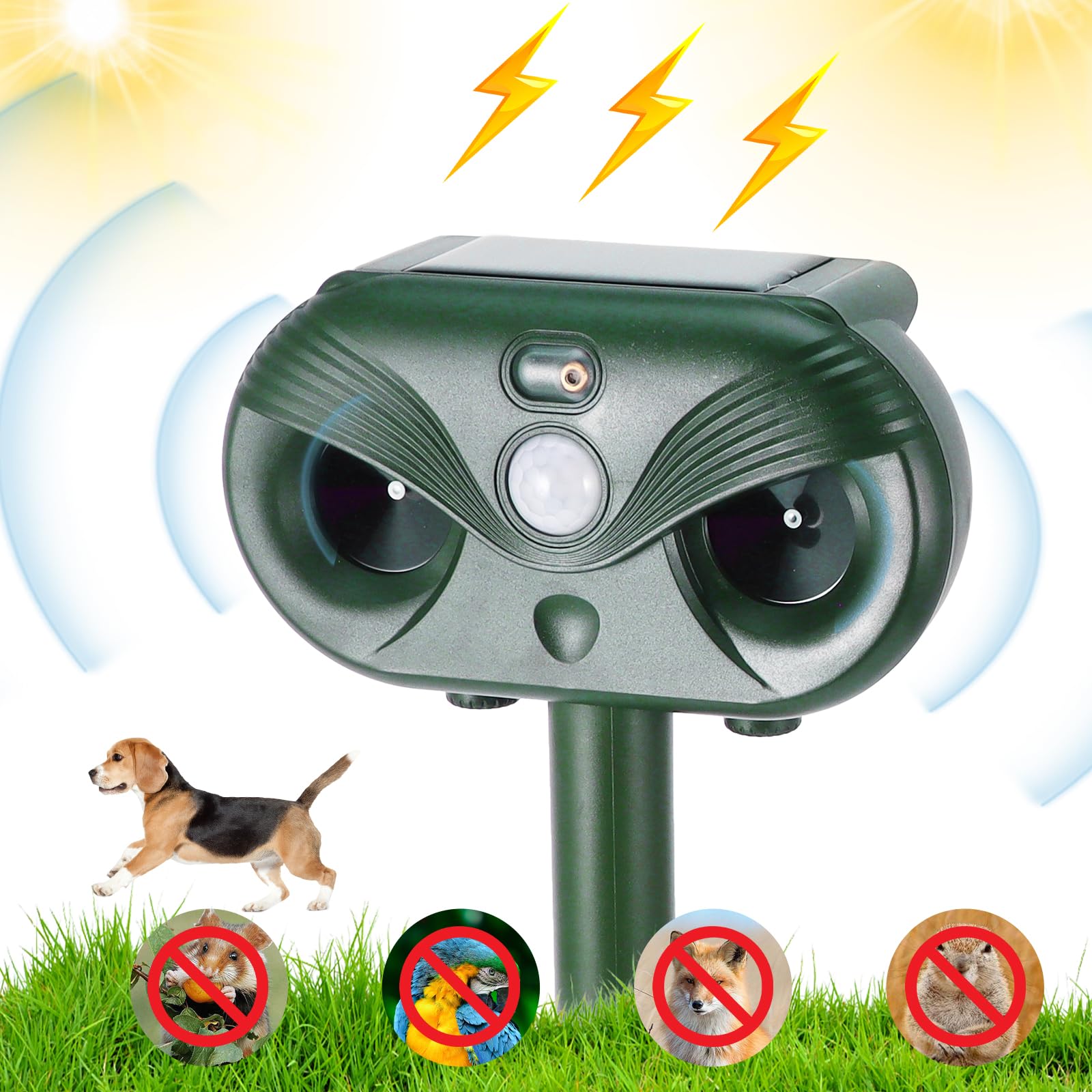 Répulsif à Chats Solaire à Ultrasons - Détecteur De Mouvement PIR, étanche IP54, Pour Jardin Et Potager
