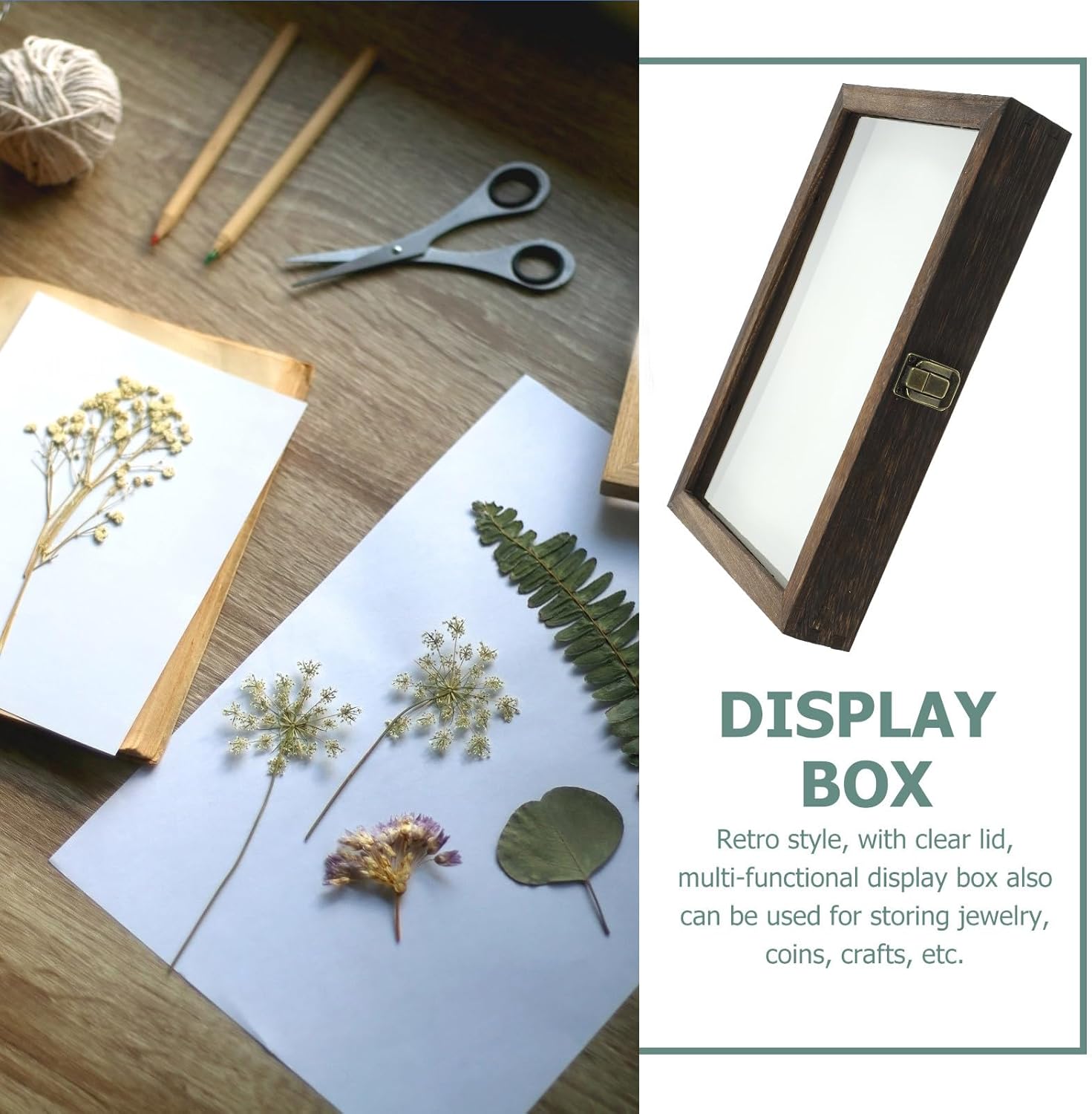 Ipetboom Insect Display Case - 1 Set Wood Specimen Box with Mat Bug Shadow Boxes Shadowbox Kit Insect Netting for Gardens Frame Curiosity Cabinet Arrowhead Showcase Exhibit Wooden - 12. 2x8. 7x1. 6in