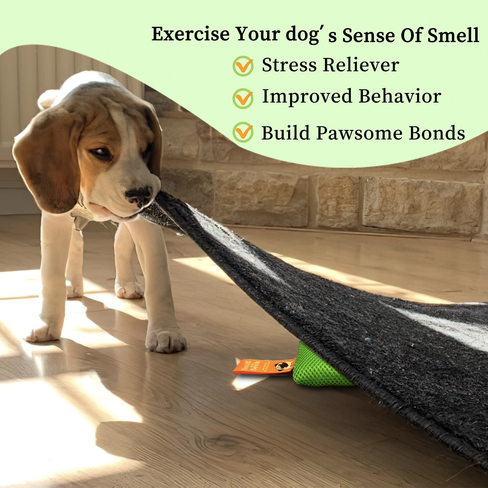 Kit de Entrenamiento de Aroma para Perros, Juegos cerebrales para Perros, Juguetes para esconderse y Buscar, Juegos para Perros, Divertido Trabajo de Nariz para Perros, Juguetes para