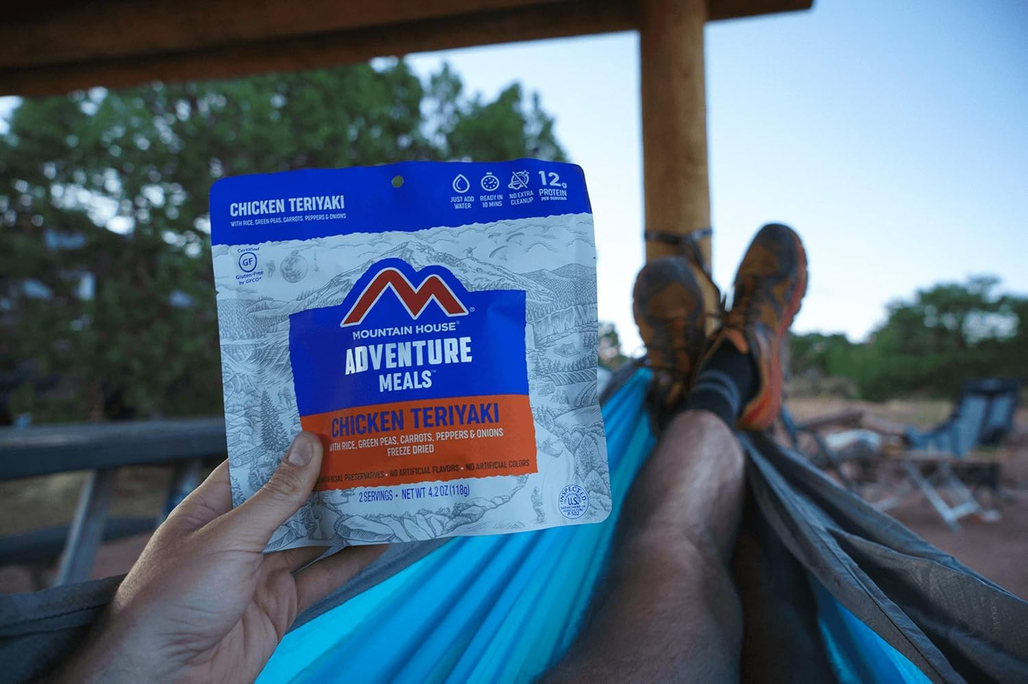 Mountain House Chicken Teriyaki with Rice | Freeze Dried Backpacking & Camping Food | 2 Servings | Gluten-Free : Sports & Outdoors