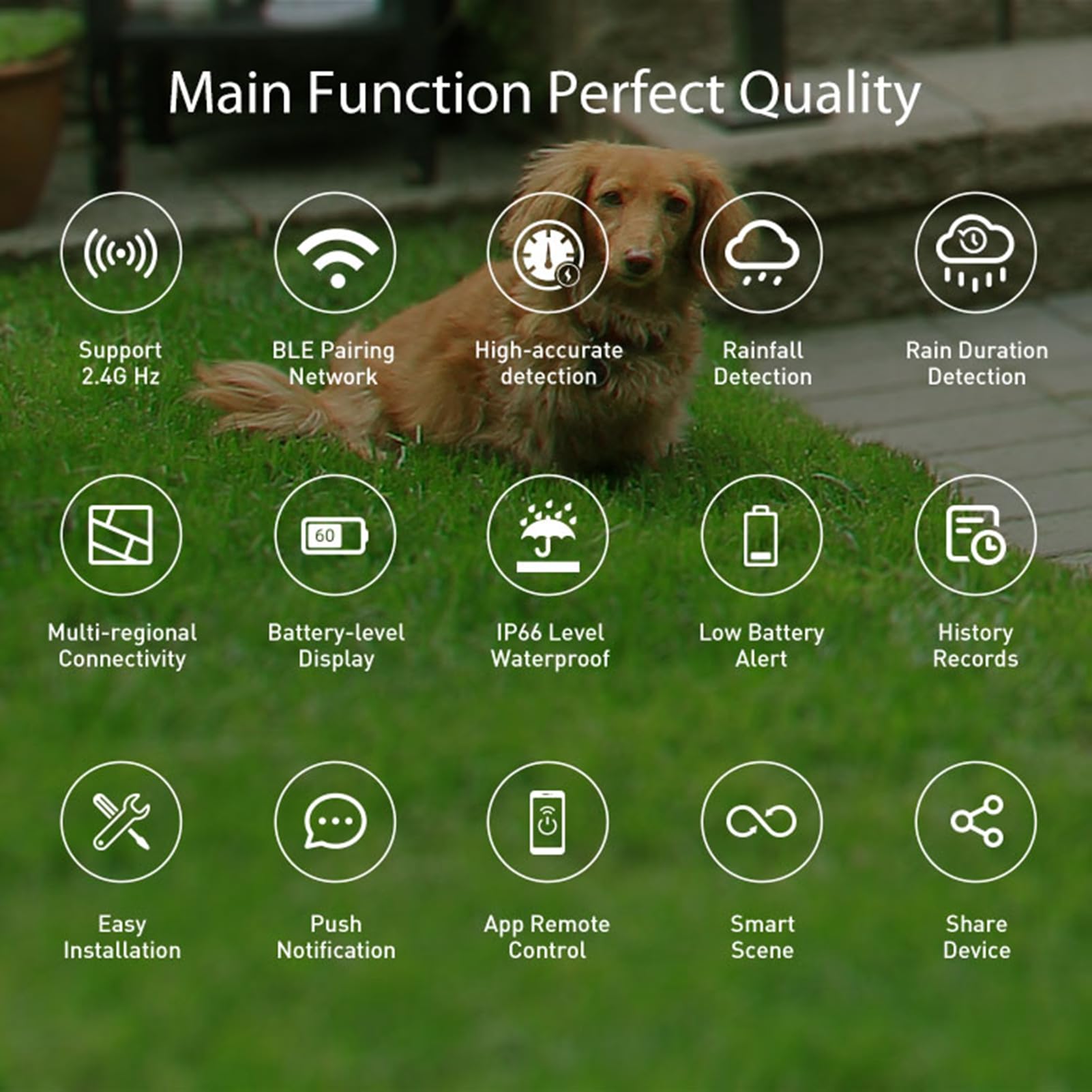Hancaner Czujnik deszczu WLAN, inteligentny miernik deszczu, WiFi, z wodoodpornością IP66, sterowanie aplikacją do ogrodu, automatyzacja nawadniania