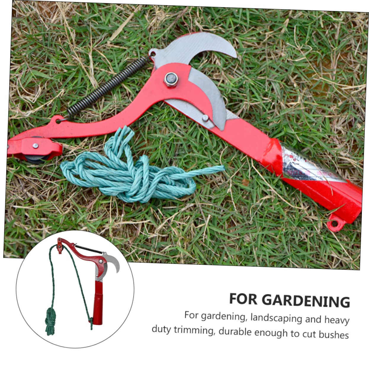 INOOMP Tijeras de Rama Alta para Cosechar Frutas Tijeras de Podar sin Pértiga para Árboles Frutales Ahorran Mano de Obra Herramienta de Jardinería para Podar y Recortar