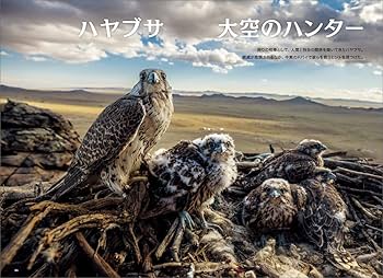 ナショナル ジオグラフィック日本版 2018年10月号 | ナショナル