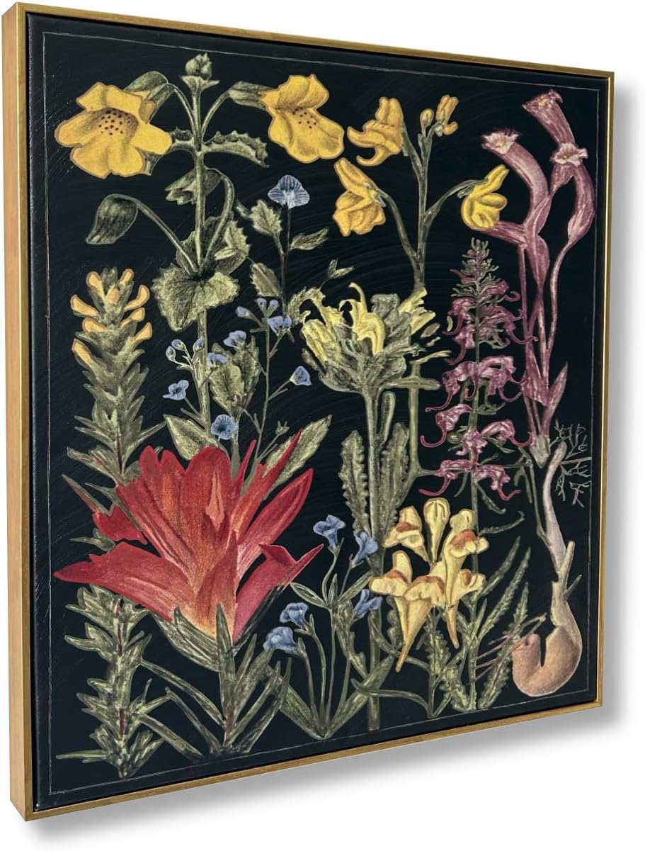 Colleen Karis Designs Botanical Dream Artwork, Black, red, yellow