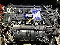 Review Image by SFBay55555 SFBay55555