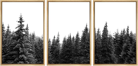Amazon.com: SIGNWIN 3 Piece Framed Canvas Wall Art Woodland Nursery ...